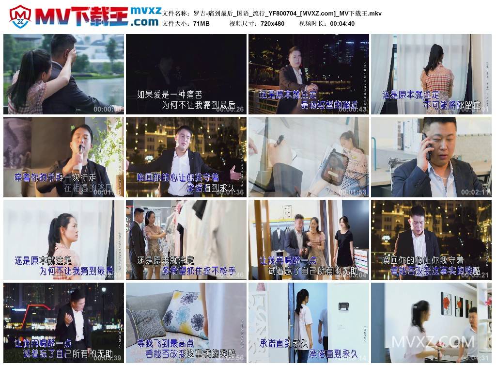 罗吉-痛到最后_国语_流行_YF800704